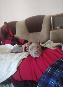 Gudvin741 My Photos photo 13840435