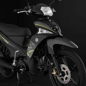my motorcycle