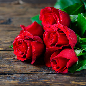 Roses/Roses