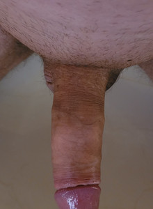 Cosmos5 My Photos photo 13450330