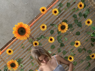 SUNFLOWERS