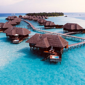 Dream Vacation