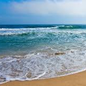 I want to go to the sea