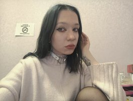 bdsmcamss