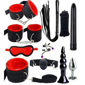 a bdsm kit