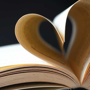 My studies