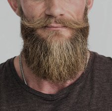 kreyoz73