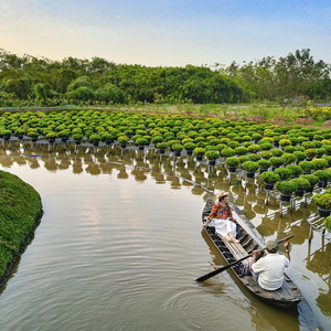 Tickets to Vietnam