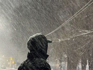 My Photos