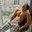 Liam_Volkov