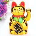 goldenkitty69