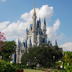 Travel to disneyland
