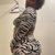 prettynthick12