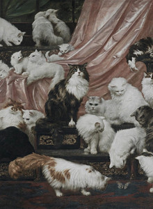 mashkmeef My Photos photo 12585463