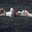 Luxury15wet-