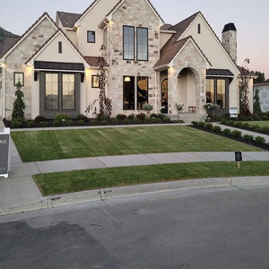 My Dream House