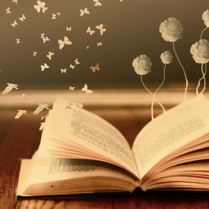 New book (my choice)