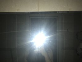 bunny-bitch - BongaCams cam model profile and statistics