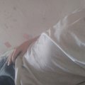Sugar_boy