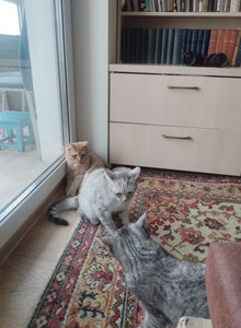 BillyBones1969 My Photos photo 14139342