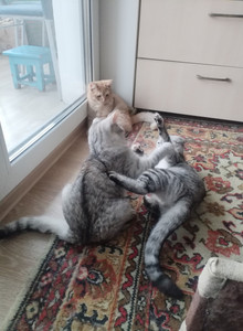 BillyBones1969 My Photos photo 14139343