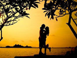 Sexual-DishesLive Webcam