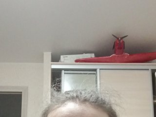 At BongaCams I'm Named Antonik93! I Am A Brunette