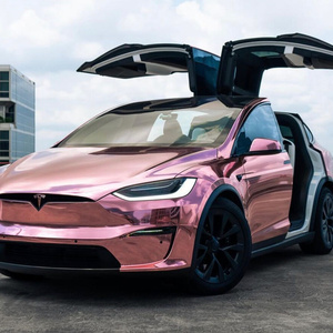 Tesla X