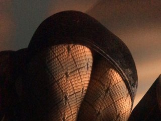 Clarice-Libby Avatar