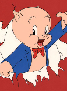 CerditoSumiso My Photos photo 11829822