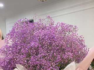 Welcome my life, my game, my funny chat room