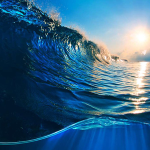 I want to go to the sea