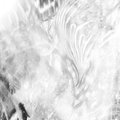 draag