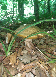 Stas345y7 My Photos photo 13347721