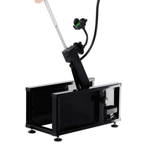 Sex Machine