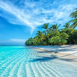 Journey to the Ocean