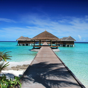 One month on an island