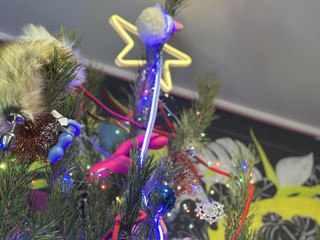 Творим на стриме! (можно купить, в личку)