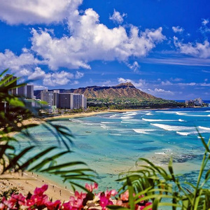 Trip to Honolulu