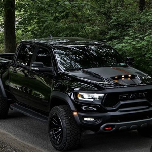 Raptor