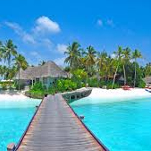 my dream holiday