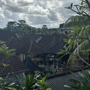 Trip to Bali