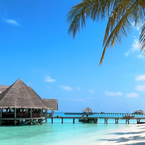 Maldives ?