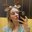 KinkyCat