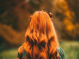 Visexa profile