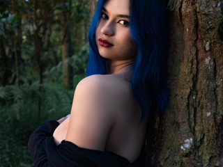 In the forest