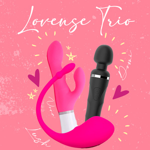 Lovense's Toys