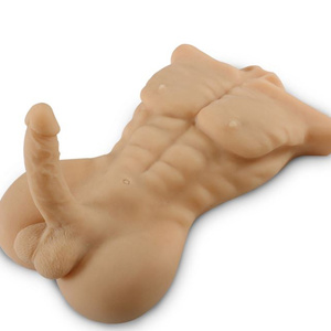 Torso