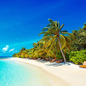 Maldives