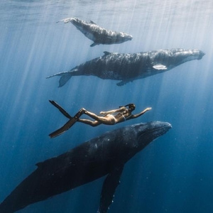 Whale Watching Tour